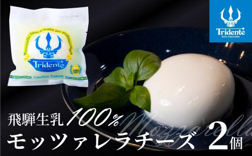 飛騨生乳100％ モッツァレラチーズ 2個（1個125g）| チーズ モッツァレラ 冷蔵 個包装  新鮮 生乳 国産 低温殺菌 乳製品 無添加 飛騨高山 チーズ工房トリデンテ LF001 ｜ モッツァレラチーズ モッツァレラ チーズ ちーず モッツァレラチーズ 生モッツァレラ フレッシュチーズ ブッラータチーズ  国産チーズ カプレーゼ ピザ サラダ おつまみ