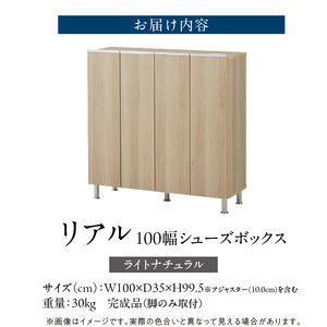 シューズボックス 【リアル 100 LO】 ライトナチュラル _ 大川家具 靴箱 靴 収納 可動棚 お洒落 国内製造 お取り寄せ 福岡県 久留米市 送料無料 〔Qd063-07〕