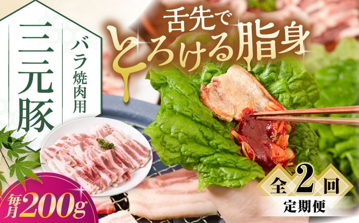 
            【全2回定期便】三元豚 バラ 焼肉用 200g《喜茂別町》【平田牧場】 肉 豚肉 豚バラ バラ カルビ 焼肉 スライス 冷凍 冷凍配送 定期便 北海道 平田牧場 [AJAP151]
          