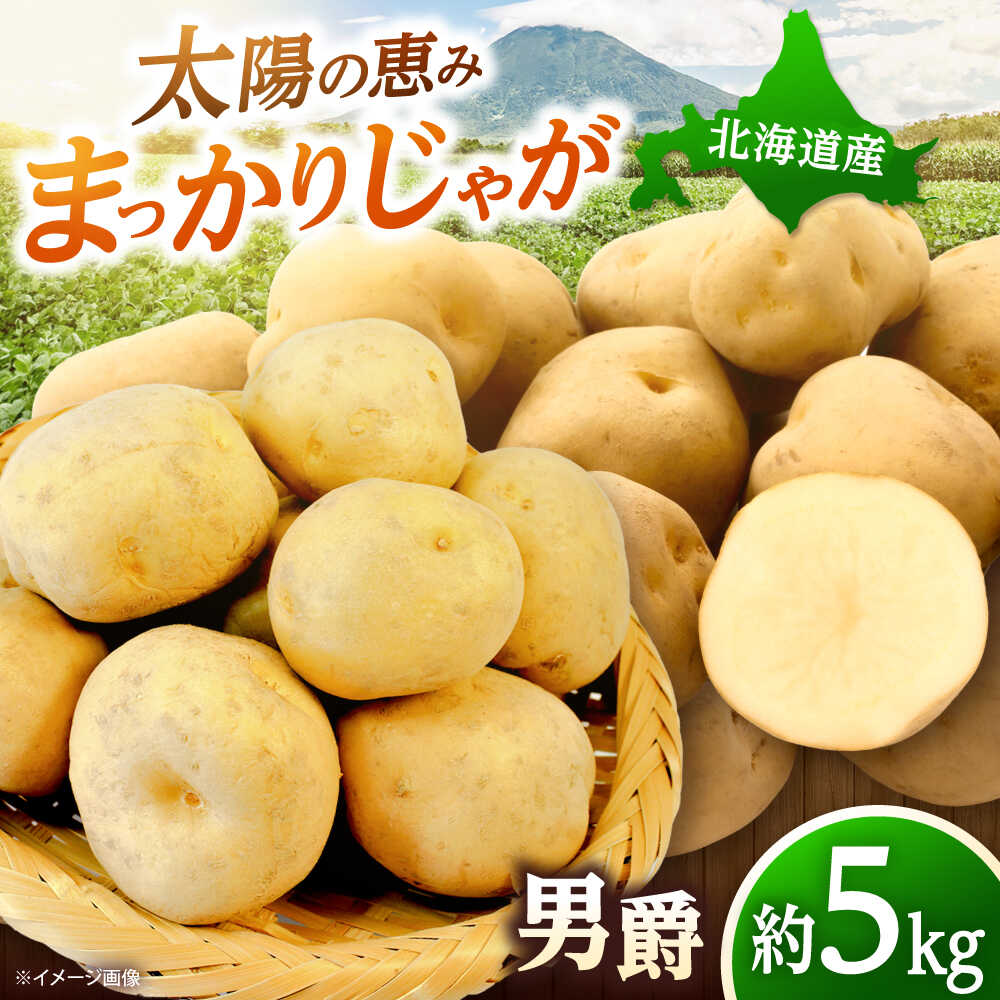 【ふるさと納税】【2026年10月中旬以降順次発送】 じゃがいも 男爵（まっかりじゃが）5kg | じゃがいも ジャガイモ 男爵 野菜 北海道 産地直送 | 道の駅 真狩フラワーセンター[BPAM016]