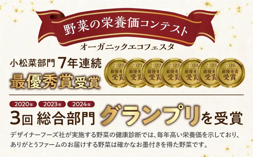【先行予約】ありがとうファーム野菜セット 6-7品 野菜セット
