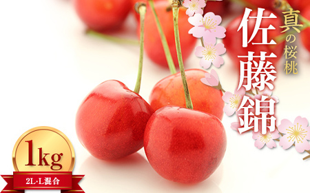 ≪2024年 先行予約≫ 真の桜桃 佐藤錦2L・L混合バラ詰め 1kg FSY-1239