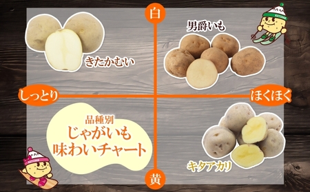 北海道産 じゃがいも きたかむい 約10kg Lサイズ ジャガイモ キタカムイ 馬鈴薯 いも ポテト 常備野菜 根菜 産直 国産 日本産 JAようてい 送料無料 北海道 倶知安町 北海道のジャガイモ 