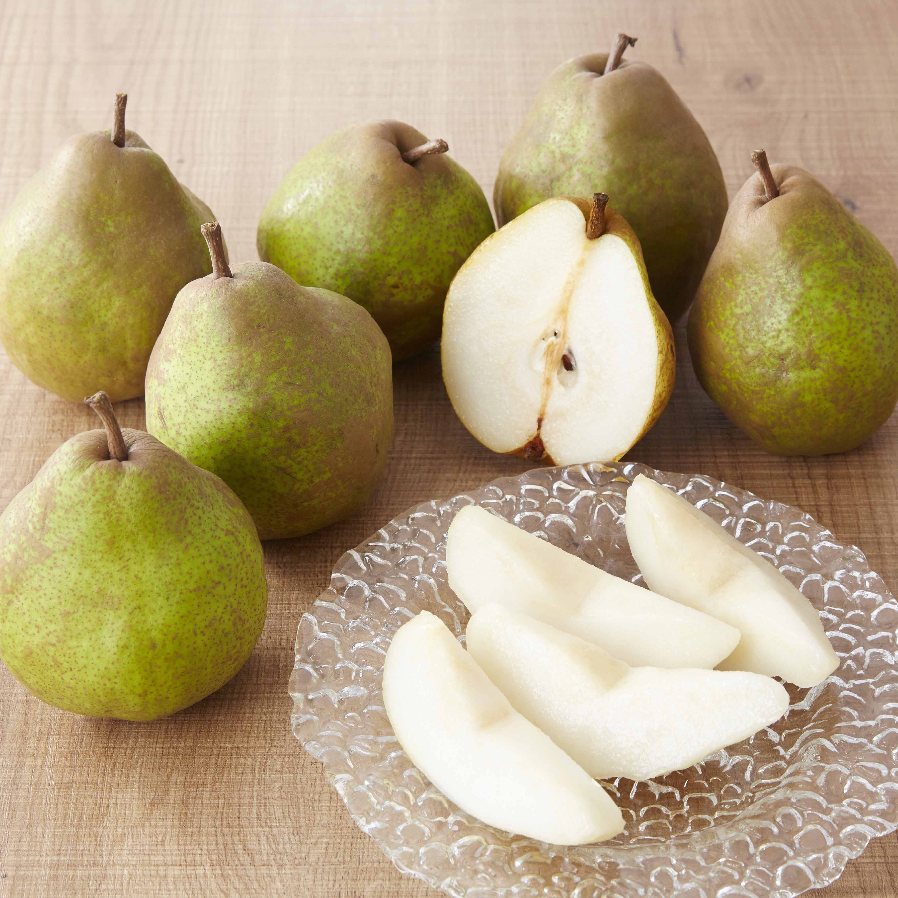 【ふるさと納税】先行予約 数量限定 西洋梨 約3kg 品種 シルバーベル ご家庭用 [ 梨 なし 果物 フルーツ 旬 タルト ケーキ ジャム コンポート 人気 おすすめ 産地直送 貴重 大きい 甘い 岩手 陸前高田 ]2025年10月頃から順次発送予定 RT801