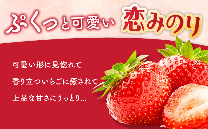 【2025年1月〜発送】いちご 恋みのり 250g × 4パック / イチゴ 苺 果物 フルーツ / 南島原市 / JA島原雲仙東南部基幹センター [SAC007]