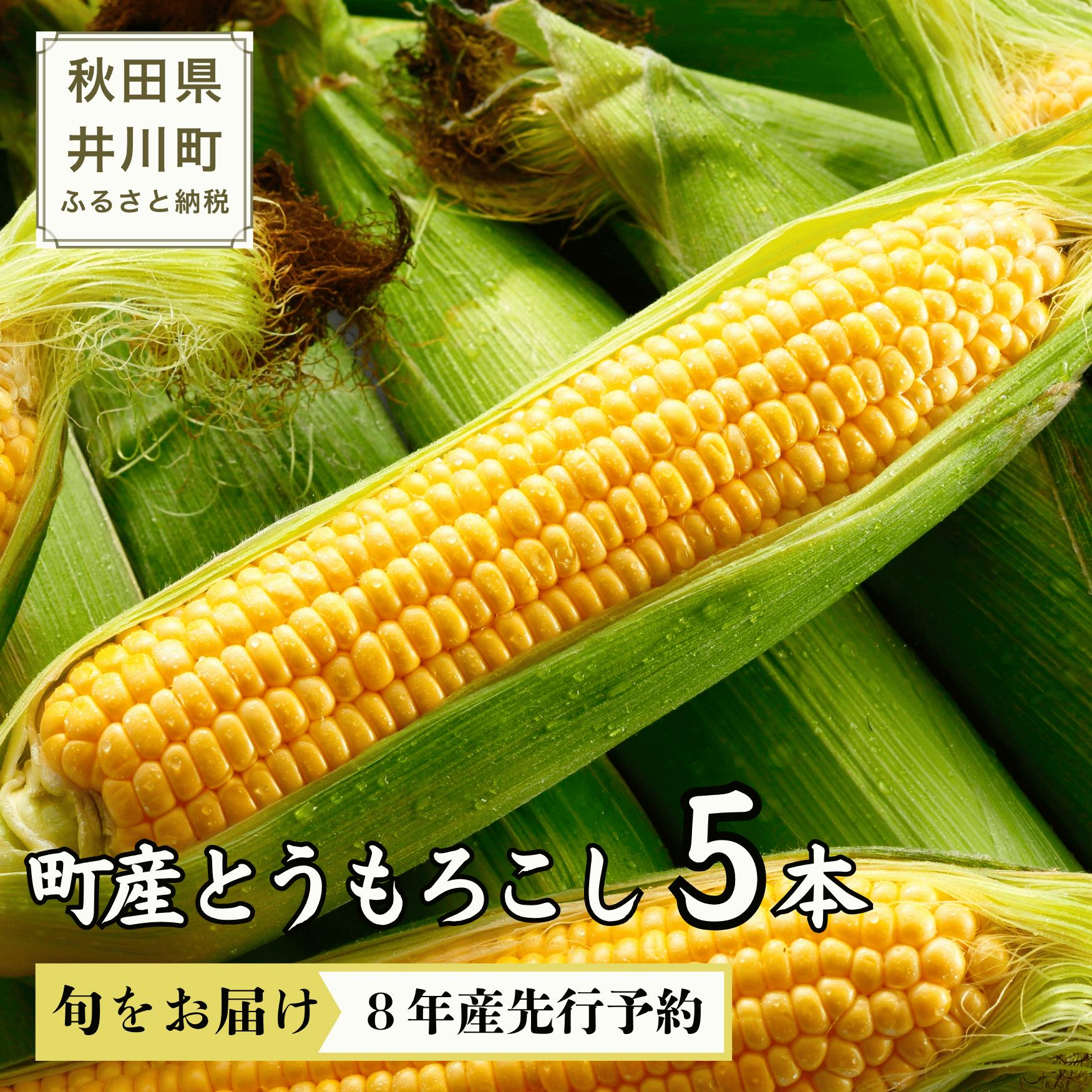 
                  【令和8年分先行受付】とうもろこし（5本）秋田県井川町産　つかまファーム
                
