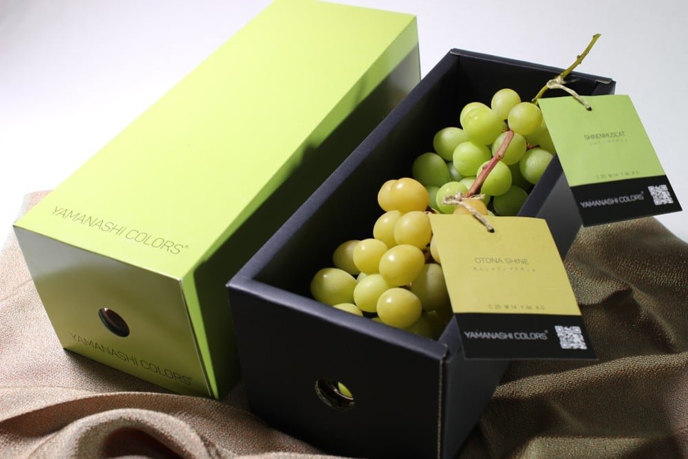 【大人シャインマスカット】と通常のグリーンの糖度18度保証のシャインマスカットとの食べ比べセットでのご提供です！