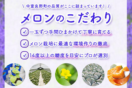 【2025年発送】　なかふらのメロン2玉　（計4kg）【CD-005】