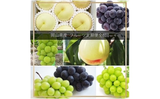 ＜発送月固定定期便＞岡山県産  フルーツ定期便全6回【4077001】