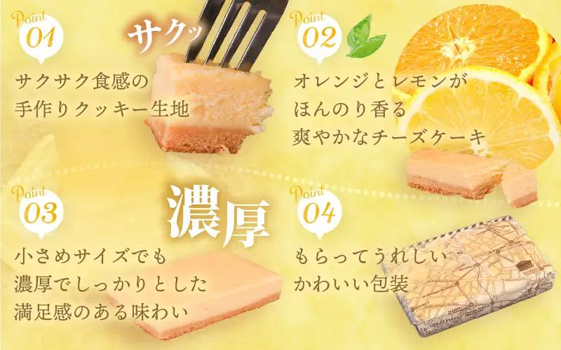 【2026年9月発送】濃厚スイーツ チーズケーキ スクエア（8cm×12㎝×2個セット）【デザート 菓子 お菓子 洋菓子 スイーツ おやつ クッキー生地 冷凍】 [e44-a014_09]