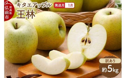 【27年1月発送】りんご 王林【訳あり】約5kg キタエアップル 青森県 弘前市 [先行予約 王林 りんご 訳あり 家庭用 アップル おいしい 果実 果物 黄色 美味 林檎]