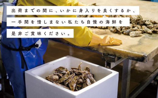 【国内消費拡大求む】≪先行予約2024年11月から配送≫[No.5930-0249]北海道サロマ湖産　貝付きホタテ6枚・カキ約2kg　帆立　ほたて　刺身　玉冷　牡蠣　かき　　海鮮　魚貝　国産　殻付き　