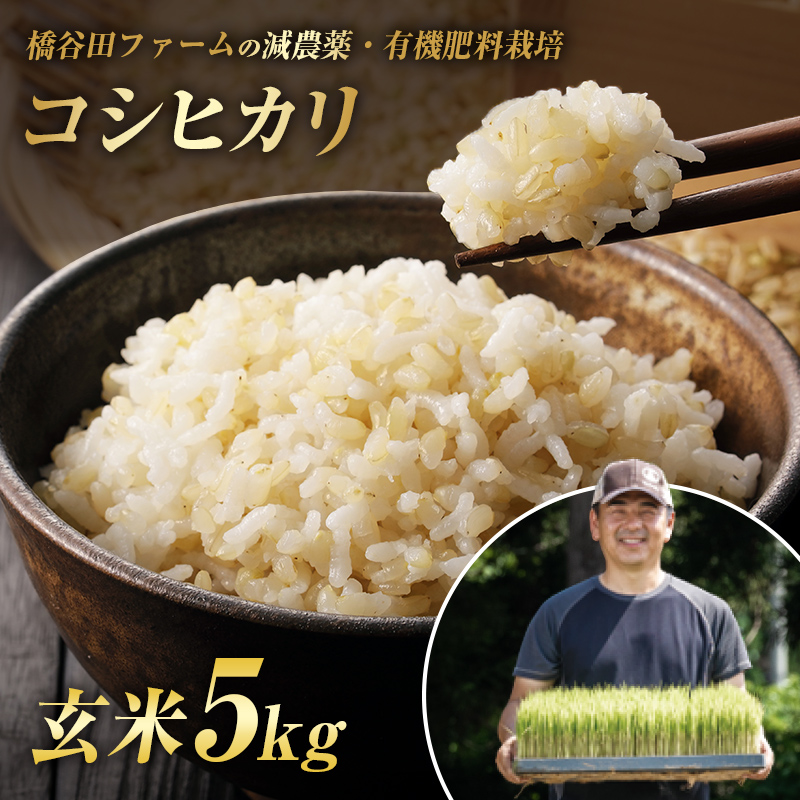 令和7年産 減農薬・有機肥料栽培コシヒカリ 玄米 5kg 米 お米 おこめ ご飯 ごはん 福島県 西会津町 F4D-2195
