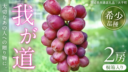 【桐箱入り】 我が道 ２房 【2025年9月上旬発送開始】(茨城県共通返礼品：大子町) シャインマスカット ウインク 葡萄 ブドウ ぶどう 果物 フルーツ 希少 新品種 贈答用 贈り物 ギフト プレゼント