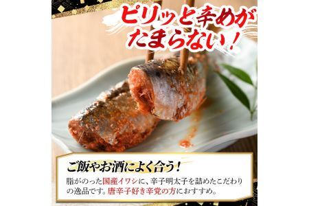 ピリ辛いわし明太(20尾)明太子 めんたいこ イワシ 鰯 海鮮 魚介類 惣菜 加工品 おかず おつまみ 福岡＜離島配送不可＞【ksg0527】【マル五】