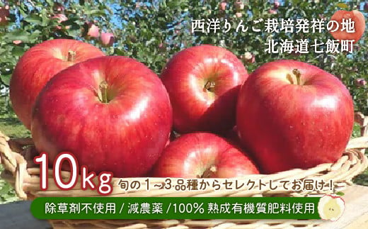 北海道七飯町産 りんご 10kg 有機質肥料使用 NAR003