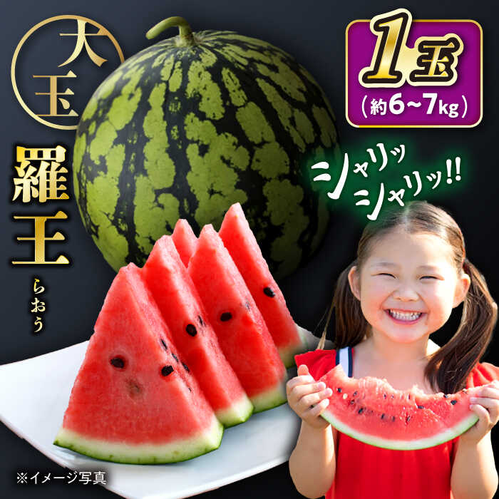 【ふるさと納税】【7月中旬より順次発送】 羅王 スイカ 1玉（約6kg～7kg）＜ファームまるだ＞ [CDT007] 長崎 西海 すいか スイカ 西瓜 羅皇 果物 フルーツ ギフト 贈答 夏