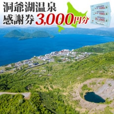 洞爺湖温泉感謝券 3,000円分 北海道 洞爺湖町