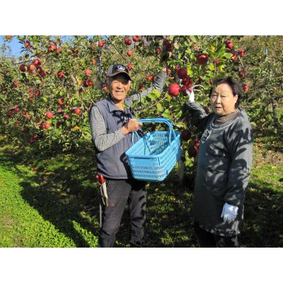 ふるさと納税 陸前高田市 【新米】令和7年産 ひとめぼれ 白米 10kg 白米 米 おにぎり お弁当 |  | 02