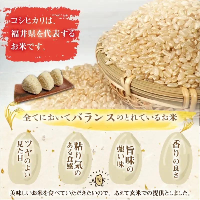 米 令和8年産 コシヒカリ玄米 10kg [A-040030]
