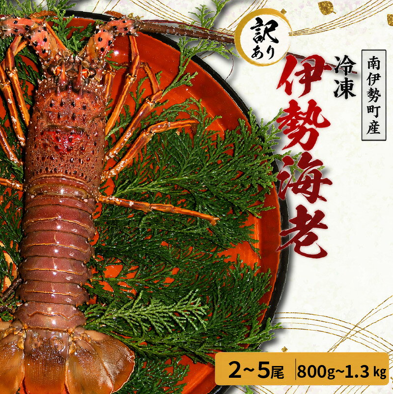【ふるさと納税】 選べる容量 訳あり 伊勢海老 約800g~約1.3kg 冷凍 加熱用 海鮮 海の幸 海老 伊勢海老 伊勢えび BBQ 焼き物 お味噌汁 鍋 魚介類 国産 産地直送 いせえび 鍋 30000円以下 三万円以下 海宝水産