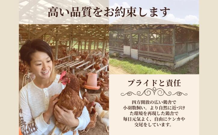 種子島 夢まるガーデン 若鶏 1羽 分 約1,2kg （ 精肉 用 ）　NFN635 【675pt】// ムネ モモ ササミ 唐揚げ 照り焼き 焼き鳥 新鮮