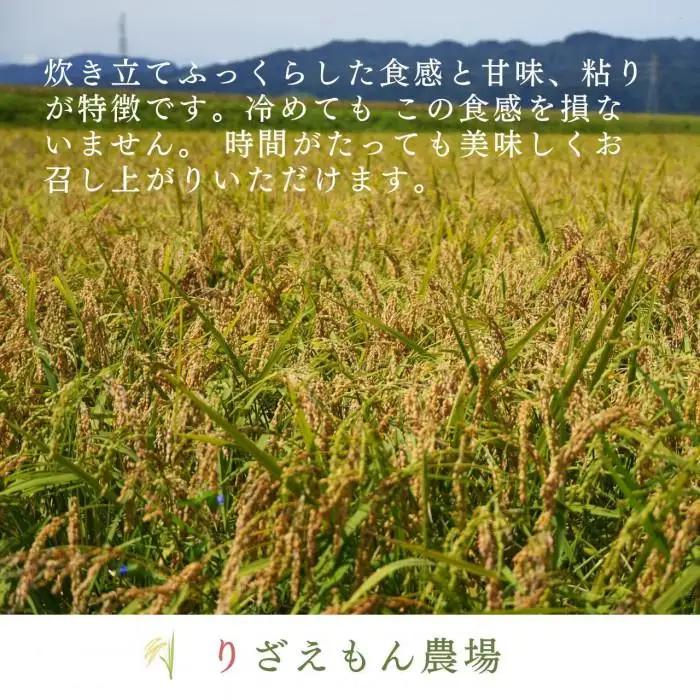 《令和8年産　新米予約受付》【定期便６回×玄米３０kg≪合計１８０kg≫】南魚沼産コシヒカリ　玄米 ３０kg　＼生産農家直送／【2026年10月上旬より順次発送予定】