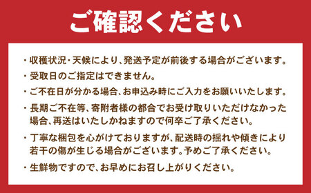 【2回定期便】※【11月より発送／先行予約】 伊木力みかん (家庭用) 10kg / みかん ミカン 蜜柑 柑橘 フルーツ ふるーつ 果物 くだもの / 諫早市 / 山野果樹園[AHCF012]