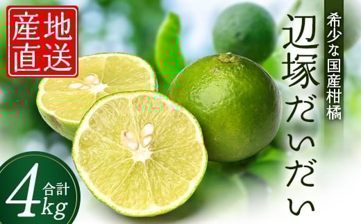 辺塚だいだい 約4kg NK-2｜果物 柑橘 辺塚だいだい へつか 産地直送 詰め合わせ 4kg 国産 新鮮 おすすめ 人気 南大隅町