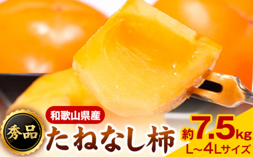 【先行予約】和歌山産たねなし柿（L〜4Lサイズおまかせ）約7.5kg・秀品 《2025年10月上旬-11月中旬頃出荷》 和歌山県 日高町 かき 種なし 柿 果物 フルーツ 青果