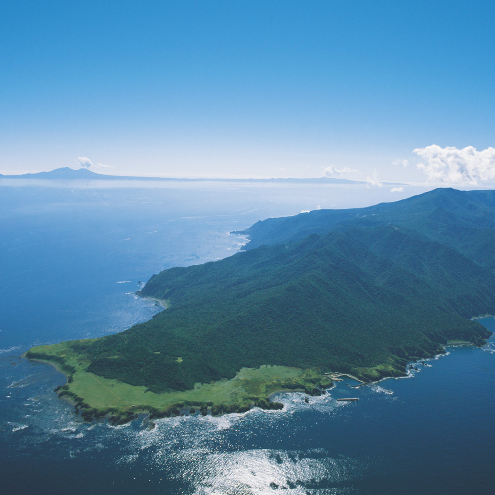 【先行受付】知床トコさんトラベルタンブラー アッシュグリーン 350ml×1本【配送不可地域：離島・沖縄県】_ss08-007
