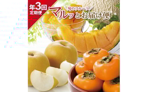≪3回定期便≫ 旬のフルーツ マルッとお届け便2026 6月下旬～8月上旬 紅花メロン 8月下旬～10月中旬 刈屋梨 10月中旬～11月下旬 庄内柿 計3回 山形県酒田産 頒布会 赤肉メロン 梨 和梨 柿 くだもの 果物 フルーツ 夏 秋 冬 旬 秀品 マルト直治郎商店　SE0490