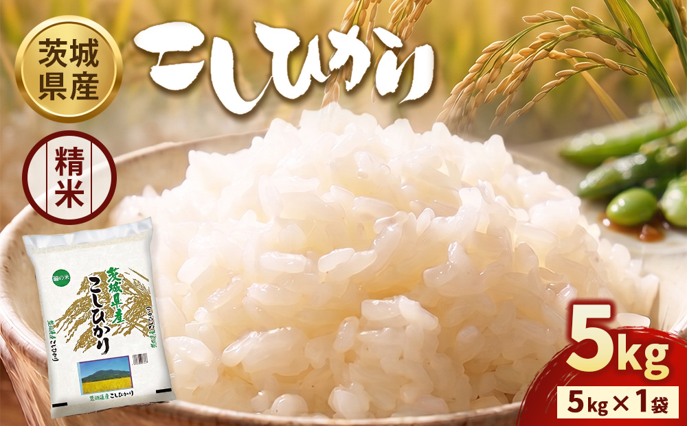 【令和7年産】茨城コシヒカリ 5kg×1袋【精米】 | お米 米 こしひかり 茨城県産 白米 ブランド米 小分け