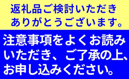 訳あり とうもろこし 品種： 甘々娘 または 甘太郎 家庭用『訳ありテルもろこし』約8本～12本 先行予約（6月中旬頃より順次発送）先端カット済【配送不可：離島】 野菜