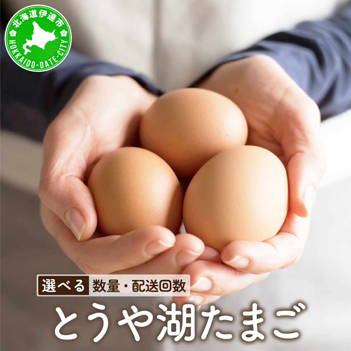 【ふるさと納税】北海道 伊達市 とうや 卵【選べる数量・お届け回数】