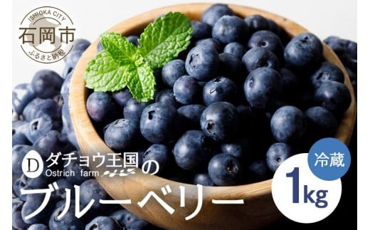 【 2026年 先行予約 】 フレッシュ ブルーベリー 1kg ダチョウ王国産 ( 500g 2パック ) 生 品種 お任せ 新鮮 完熟 冷蔵 農薬 栽培期間中 不使用 1キロ 果物 フルーツ 国産 産地直送 農家直送 産直 夏 6月 7月 8月 発送 くだもの 茨城 茨城県 石岡市 (C05-001)