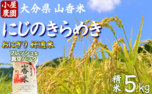 【令和7年産】小屋農園の米 5kg 真空パック （精米：にじのきらめき） 2025年産 ＜159-005＞