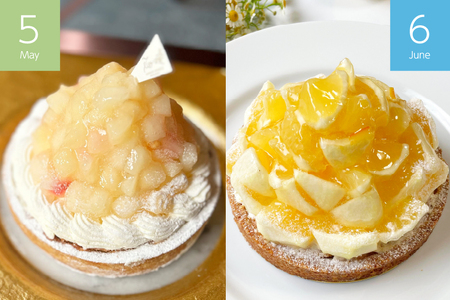 ケーキ タルト 1ホール 12cm 12種 食べ比べ 各回1ホール 3回 定期便 総計3ホール [心優-Cotoyu sweets- 長崎県 平戸市 hr42bjo490222]