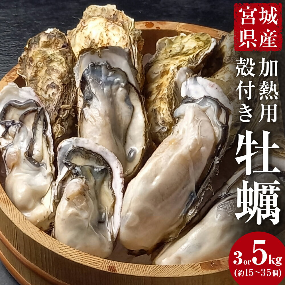 【ふるさと納税】牡蠣 宮城県産 選別済み 選べる 3kg / 5kg 加熱用 真牡蠣 かき カキ 貝 貝類 海産物 魚介類 海鮮 冷凍 宮城県 宮城 石巻市 石巻