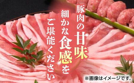 【家庭用】さくらポーク 豚モモ スライス 600g（300g×2pc）【KRAZY MEAT(小田畜産)】[ZCP028]