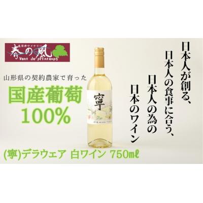 ふるさと納税 春日井市 春日井ワイナリ-春の風 (寧)デラウェア 白ワイン 750ml　ワイン　白　ギフト　贈り物