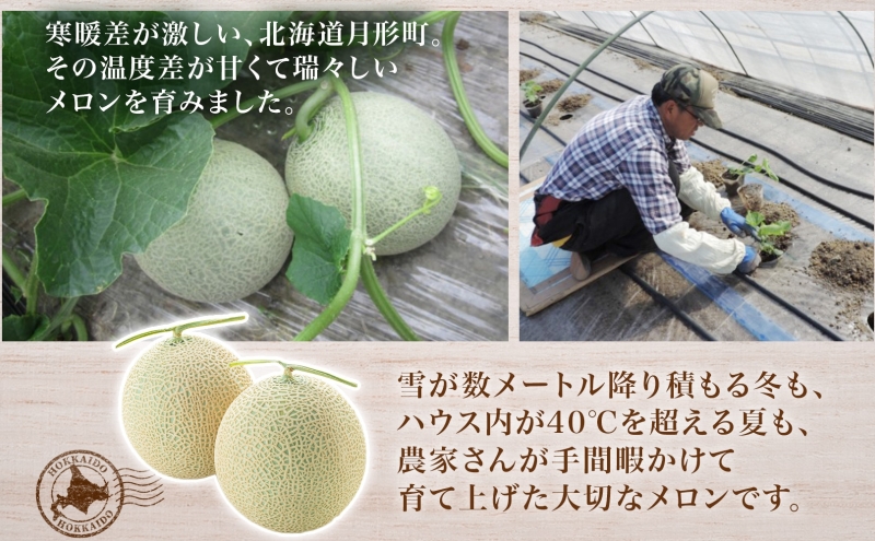 【2026年夏発送】北海道 青肉メロン 月雫 優品 4～6玉 計約8kg