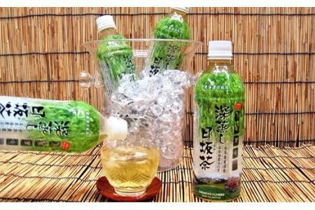 深蒸し日坂茶 ペットボトル 500ml × 24本 （ 深蒸し掛川茶・ ドリンク ）山英 深蒸し茶 6166