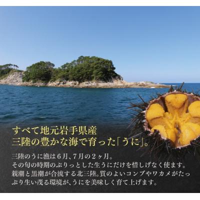 ふるさと納税 普代村 三陸産 甘塩うに 瓶詰 60g 5本 ミョウバン不使用 国産 |  | 01