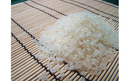 令和7年産 コシヒカリ 「聖米」 白米 10kg (5kg×2)