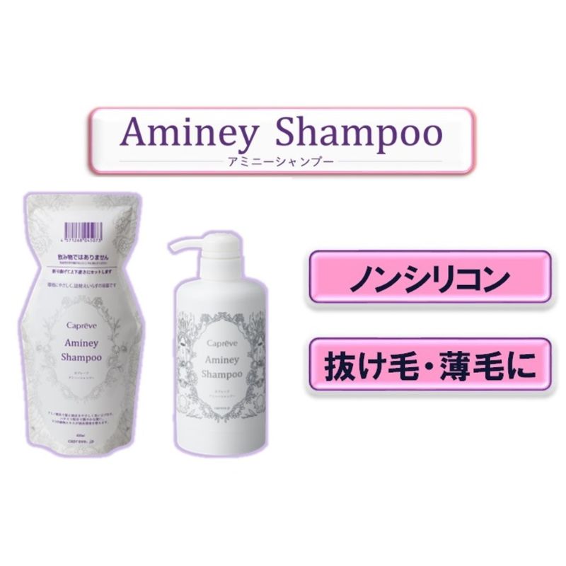 【ふるさと納税】ノンシリコン【カプレーブ アミニーシャンプー パウチ・ボトルセット】艶やかな髪へ 400mL