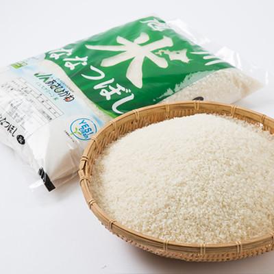 ふるさと納税 旭川市 令和7年産北海道旭川市産特Aななつぼし(精米)5kg×3袋 計15kg_05666 |  | 03