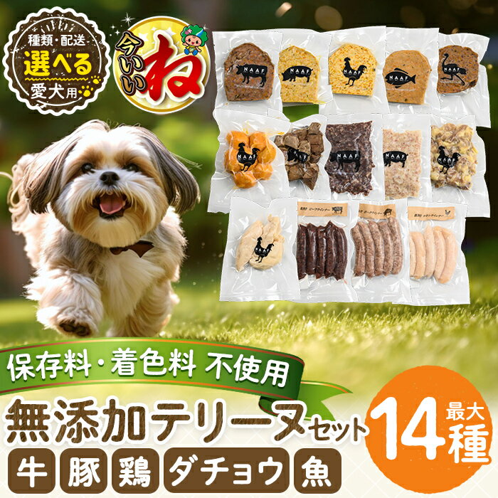 【ふるさと納税】【一部寄附額改定】《種類・配送が選べる》＜保存料・着色料 不使用＞愛犬用無添加テリーヌ(2袋・4袋・8袋・14種セット・定期便) 牛 豚 鶏 魚 ダチョウ テリーヌ 犬 ドッグ ペット フード エサ おやつ ごはん ご飯 間食 ご褒美【Nフードサービス】