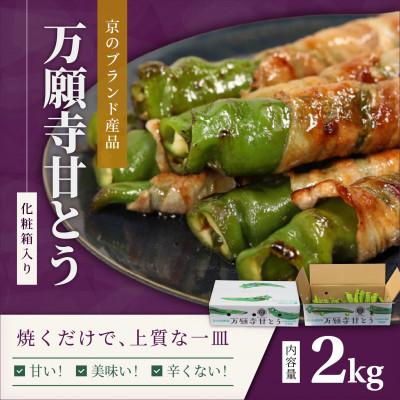 ふるさと納税 舞鶴市 京のブランド産品「万願寺甘とう」2kg 化粧箱入り