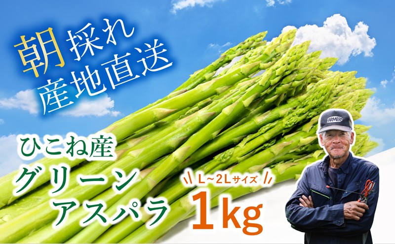 
                  【先行予約】 グリーンアスパラ 1kg ( L~2L ) 夏芽 アスパラガス アスパラ 夏アスパラ ひこねアスパラ 朝採 新鮮 春野菜 夏野菜 野菜 やさい 滋賀 彦根
                